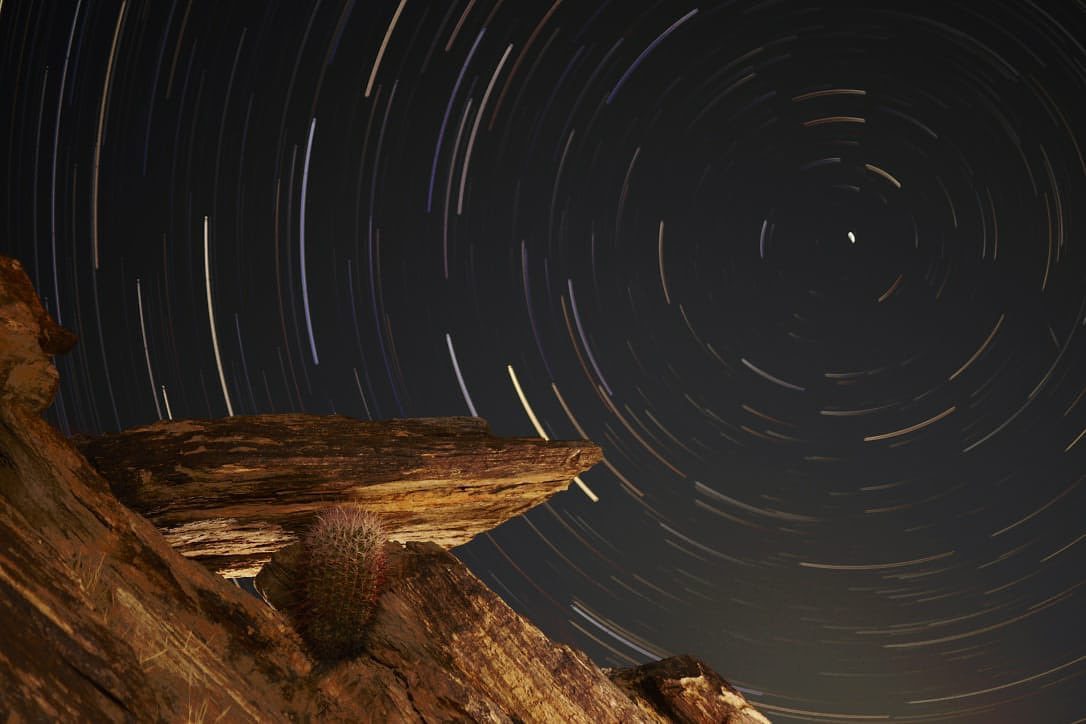 Long-exposure star trails circling above a rock outcrop and a barrel cactus